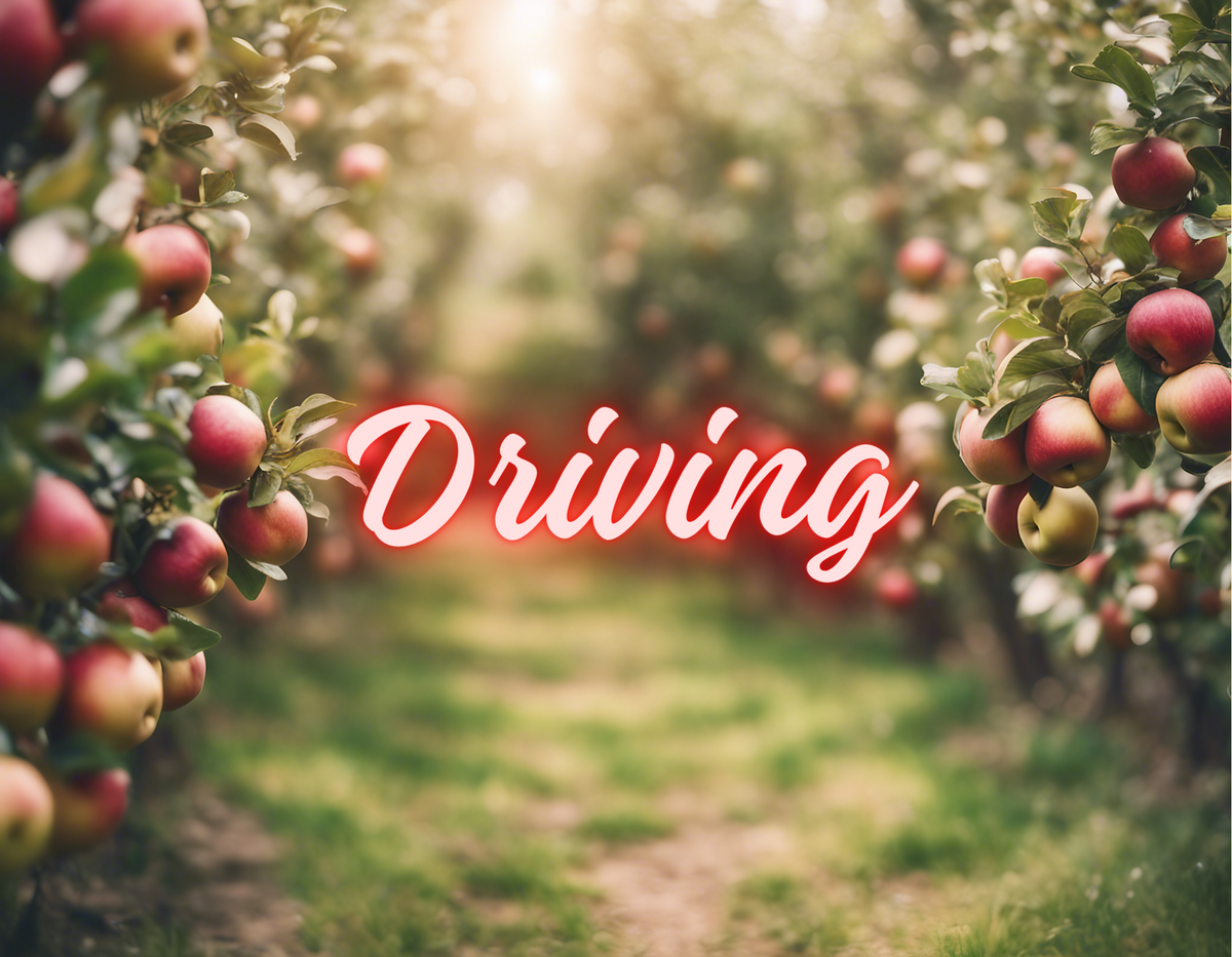 Driving – Good Apple Equine